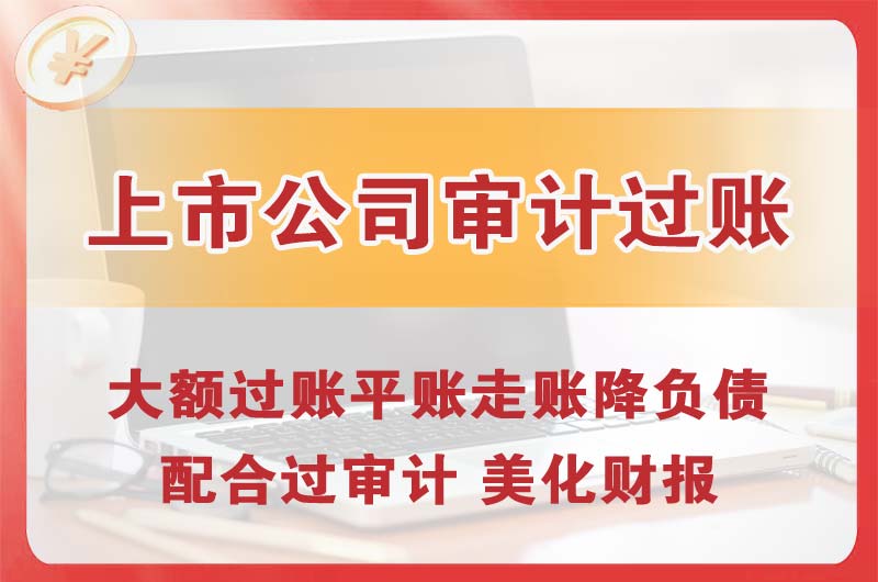 桂平上市公司审计过账